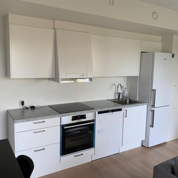 Scandpoint Apartment Fornebu Near Sea Front With Outdoor Walk! Stabekk Zewnętrze zdjęcie
